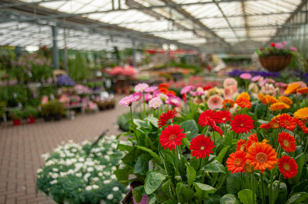 Garden Centres & Retailers
