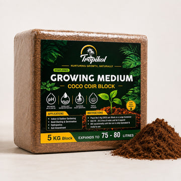 Coco Coir Blocks