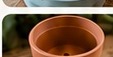 Clean plant pot